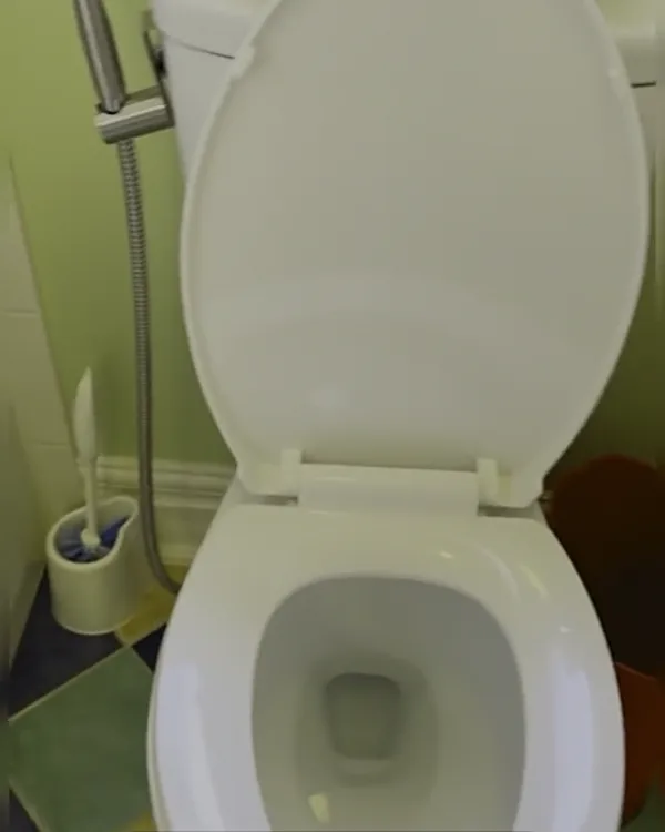 The same toilet clean and white after cleaning