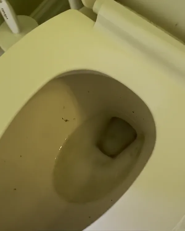Toilet bowl with stains before cleaning