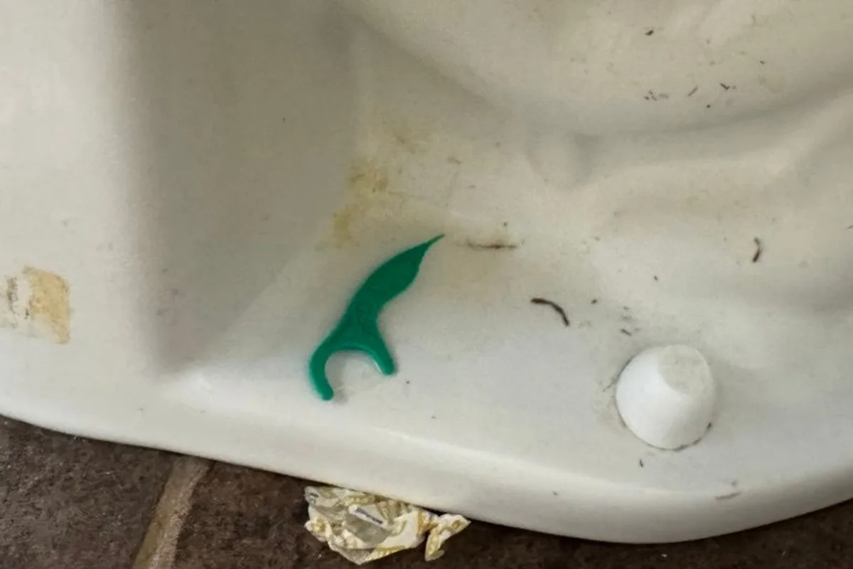 Front of a toilet base with yellow stains, dust, hairs and a green floss pick
