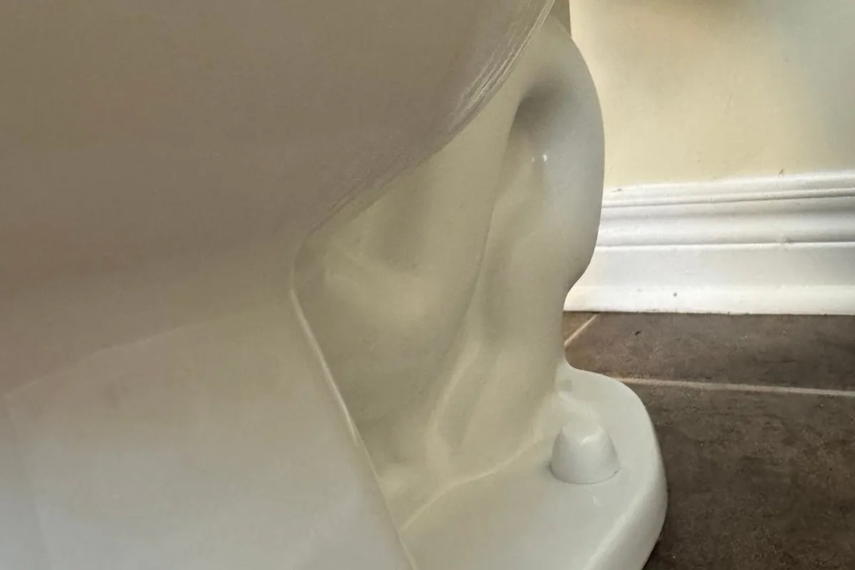 Side of a clean white toilet base, the bolt cap and a white baseboard behind it