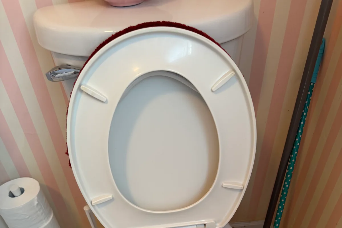 The same toilet with a clean white seat and lid raised, pink striped wallpaper behind