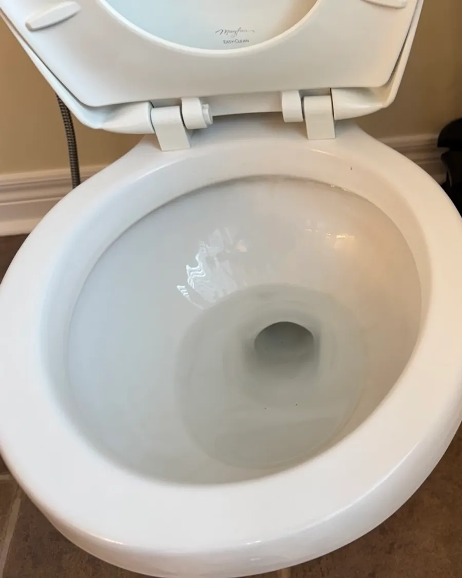 Toilet bowl seen from the front with a brush holder in the corner