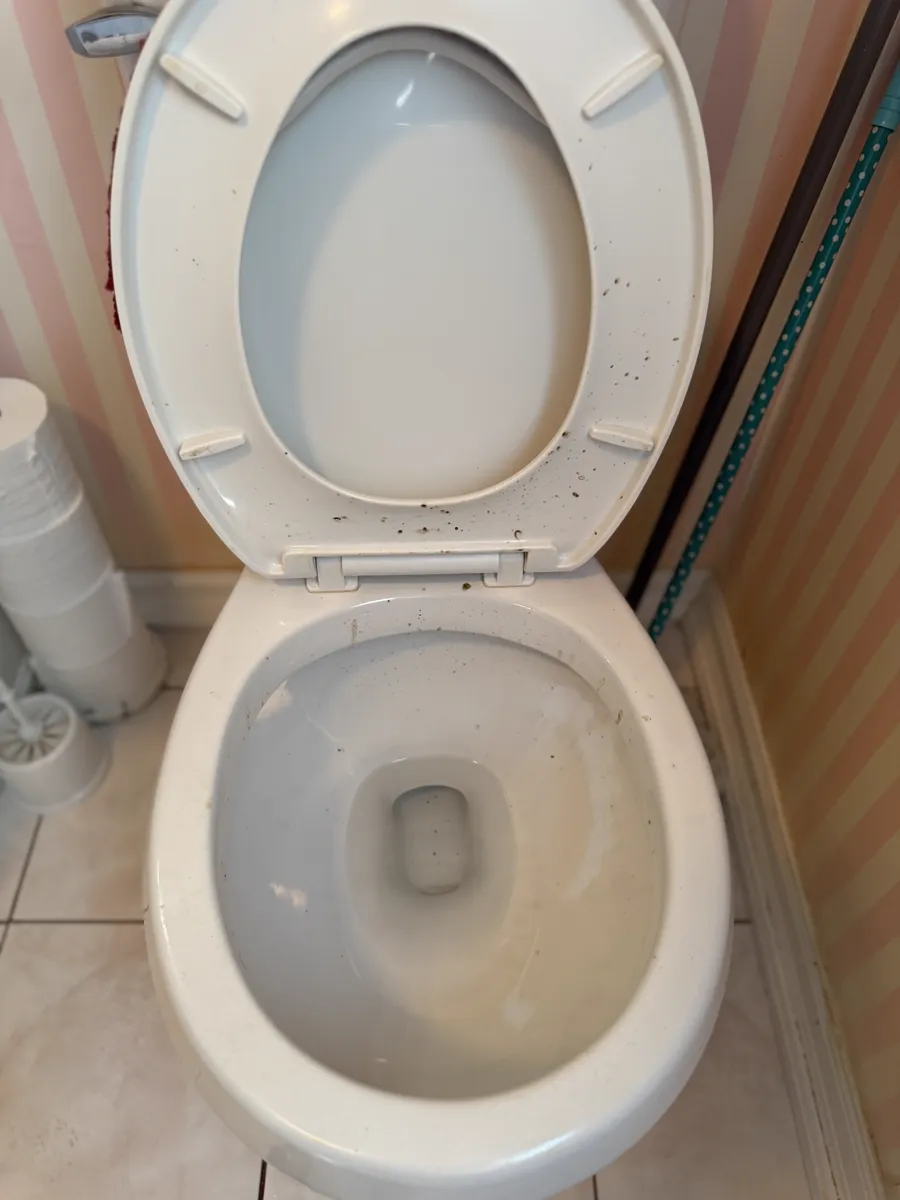 Toilet with spots on the lid and stains in the bowl
